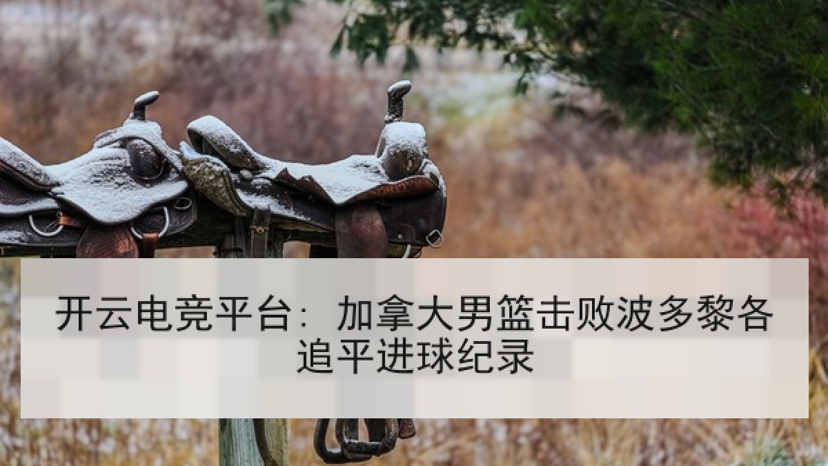 开云电竞平台: 加拿大男篮击败波多黎各追平进球纪录