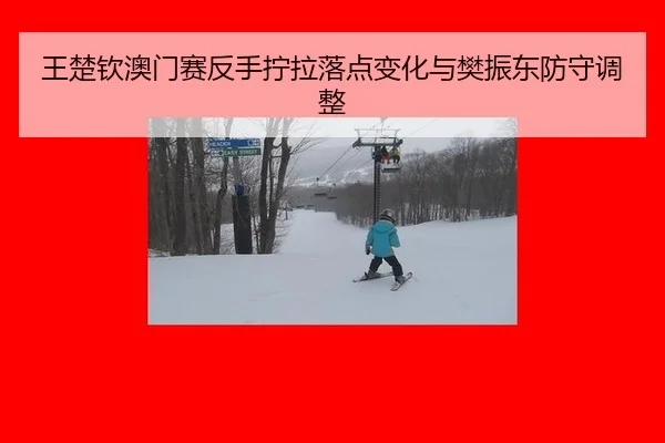 wang-chu-qin-ao-men-sai-fan-shou-ning-la-luo-dian-bian-hua-yu-fan-zhen-dong-fang-shou-tiao-zheng-2-492.jpg