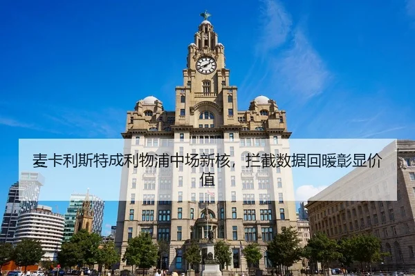mai-ka-li-si-te-cheng-li-wu-pu-zhong-chang-xin-he-lan-jie-shu-ju-hui-nuan-zhang-xian-jia-zhi-3-617.jpg