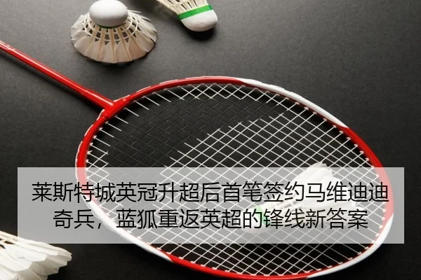 莱斯特城英冠升超后首笔签约马维迪迪奇兵，蓝狐重返英超的锋线新答案