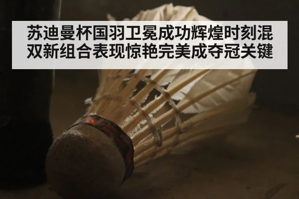 苏迪曼杯国羽卫冕成功辉煌时刻混双新组合表现惊艳完美成夺冠关键