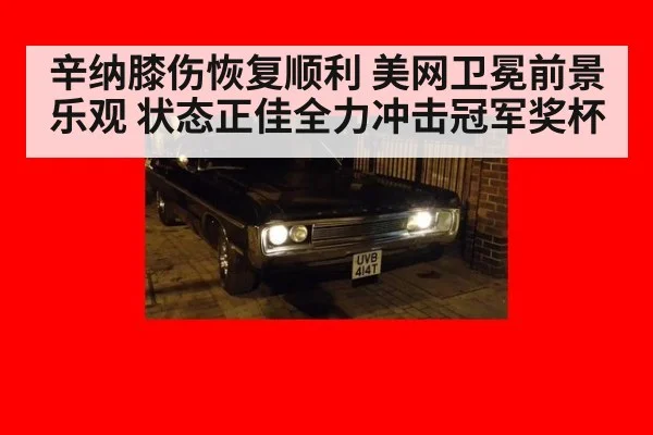 辛纳膝伤恢复顺利 美网卫冕前景乐观 状态正佳全力冲击冠军奖杯